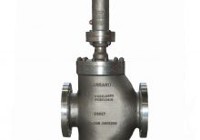 bpm carraro valvole